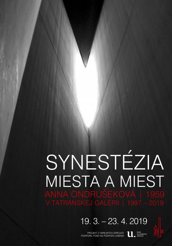 Synestezia AO 2019 webv.jpg